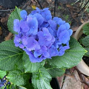 Meet your Posher, Fernanda